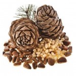 Кедровые орехи