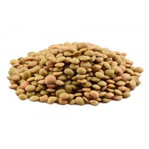 Чечевица зеленая Чечевица зеленая