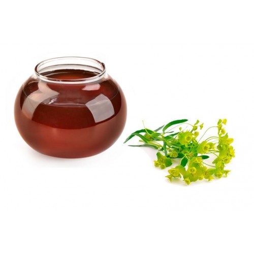 Мёд из молочая (урожай 2024)