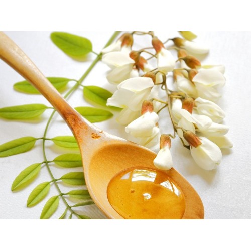 Мёд акации (урожай 2025) Мёд акации (урожай 2025)