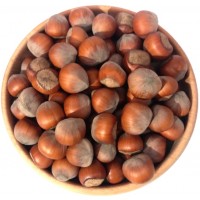 Фундук в скорлупе (Россия) Фундук в скорлупе (Россия)