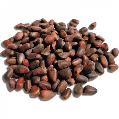 Кедровый орех неочищенный, 500 гр. в вакуумный упаковке Кедровый орех неочищенный, 500 гр. в вакуумный упаковке