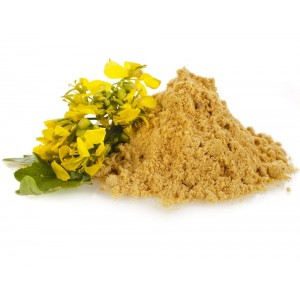 Горчица молотая (порошок) Горчица молотая (порошок)