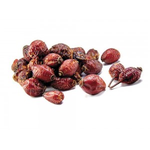 Шиповник сушеный горный 2023 г. Шиповник сушеный горный 2023 г.